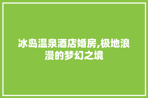 冰岛温泉酒店婚房,极地浪漫的梦幻之境