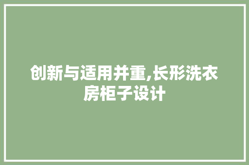 创新与适用并重,长形洗衣房柜子设计