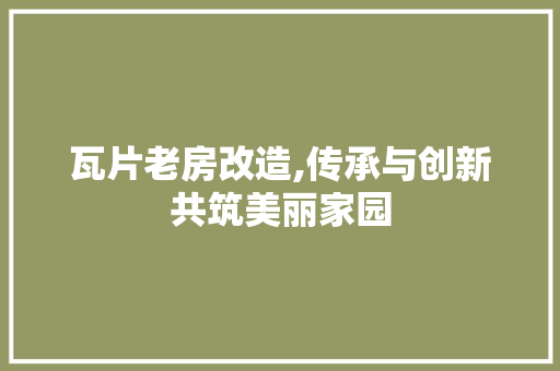 瓦片老房改造,传承与创新共筑美丽家园