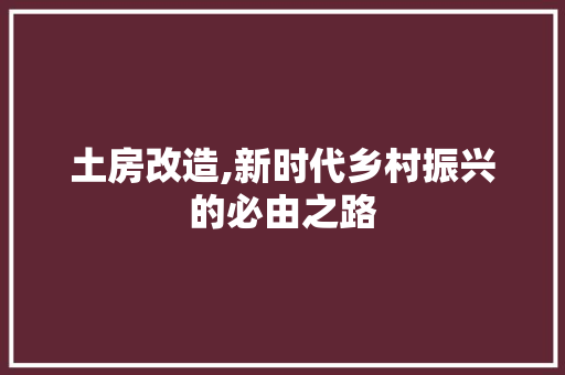 土房改造,新时代乡村振兴的必由之路