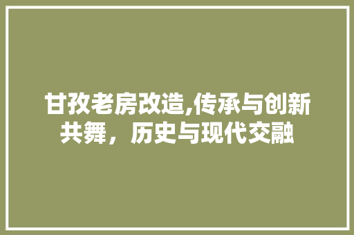 甘孜老房改造,传承与创新共舞，历史与现代交融