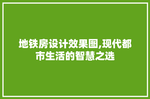地铁房设计效果图,现代都市生活的智慧之选