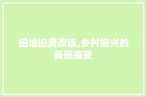 田地旧房改造,乡村振兴的美丽蝶变