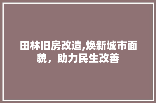 田林旧房改造,焕新城市面貌，助力民生改善