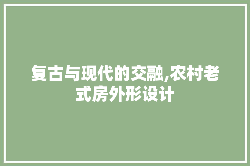 复古与现代的交融,农村老式房外形设计