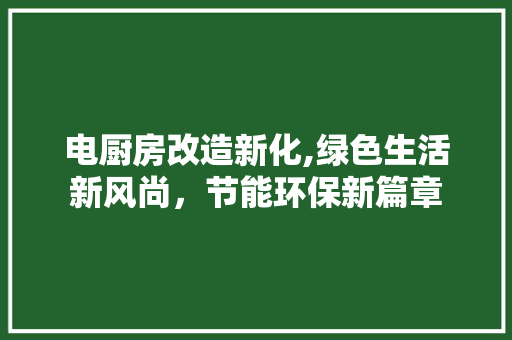 电厨房改造新化,绿色生活新风尚，节能环保新篇章