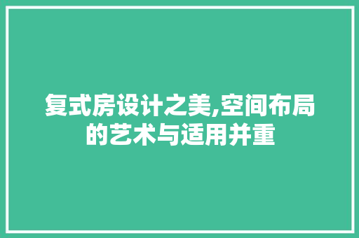 复式房设计之美,空间布局的艺术与适用并重