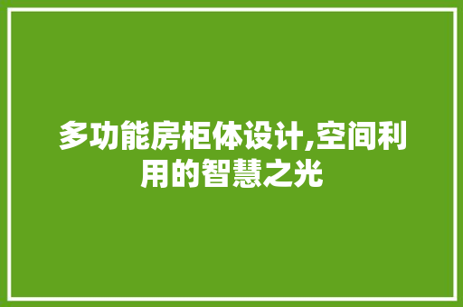 多功能房柜体设计,空间利用的智慧之光