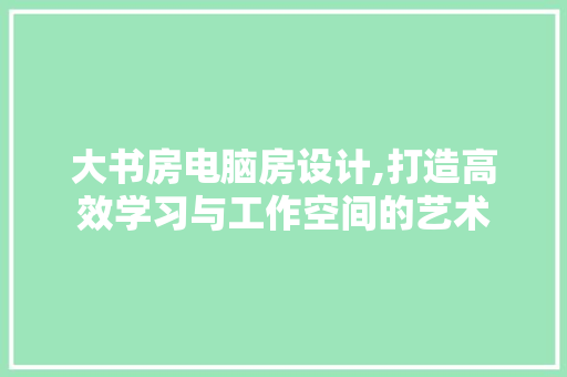 大书房电脑房设计,打造高效学习与工作空间的艺术