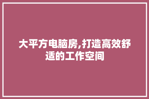 大平方电脑房,打造高效舒适的工作空间