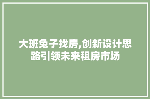 大班兔子找房,创新设计思路引领未来租房市场