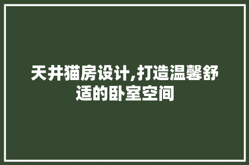 天井猫房设计,打造温馨舒适的卧室空间
