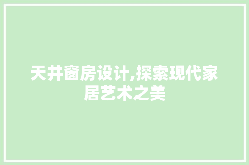 天井窗房设计,探索现代家居艺术之美