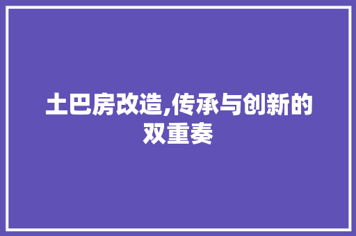 土巴房改造,传承与创新的双重奏
