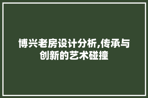 博兴老房设计分析,传承与创新的艺术碰撞