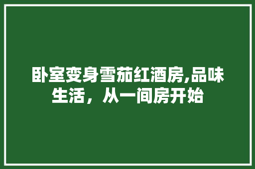 卧室变身雪茄红酒房,品味生活，从一间房开始