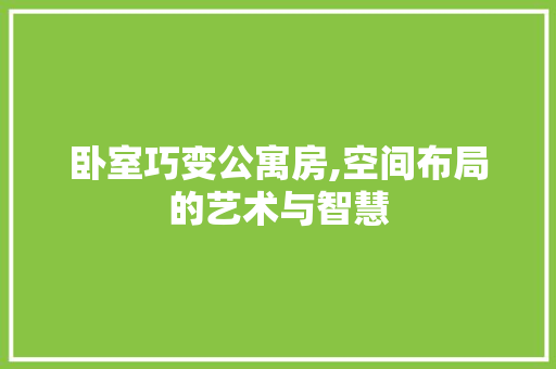 卧室巧变公寓房,空间布局的艺术与智慧