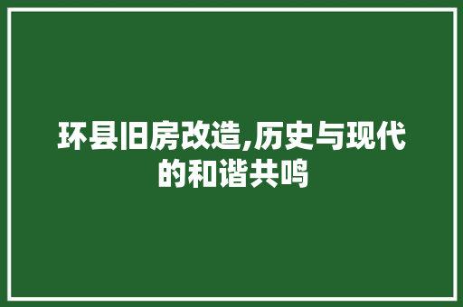 环县旧房改造,历史与现代的和谐共鸣