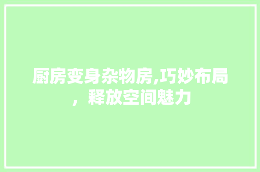 厨房变身杂物房,巧妙布局，释放空间魅力