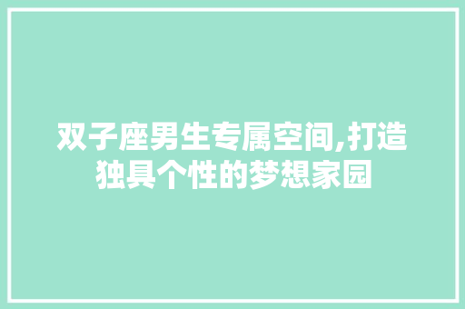 双子座男生专属空间,打造独具个性的梦想家园