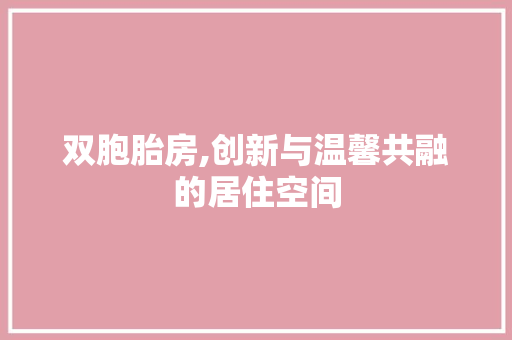 双胞胎房,创新与温馨共融的居住空间