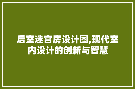 后室迷宫房设计图,现代室内设计的创新与智慧