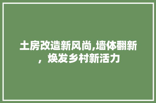 土房改造新风尚,墙体翻新，焕发乡村新活力