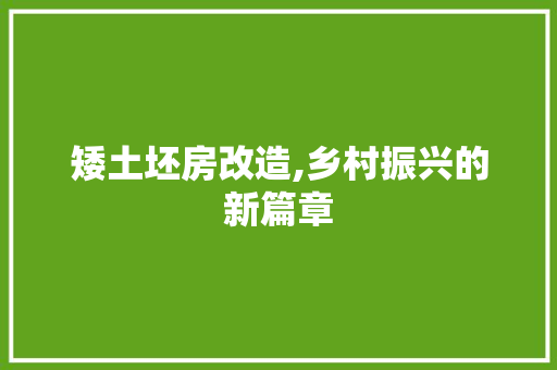 矮土坯房改造,乡村振兴的新篇章