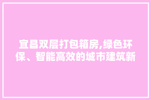 宜昌双层打包箱房,绿色环保、智能高效的城市建筑新趋势