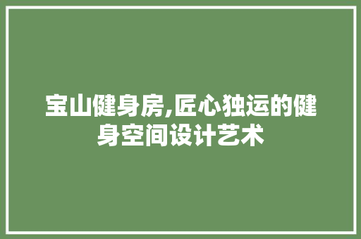 宝山健身房,匠心独运的健身空间设计艺术