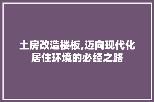 土房改造楼板,迈向现代化居住环境的必经之路