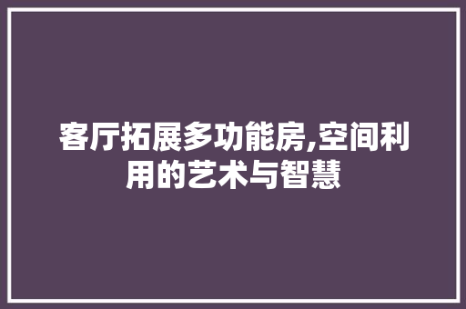 客厅拓展多功能房,空间利用的艺术与智慧