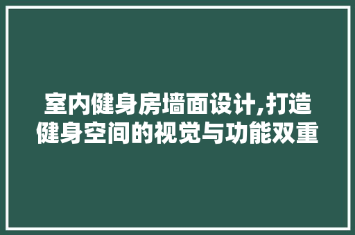 室内健身房墙面设计,打造健身空间的视觉与功能双重盛宴