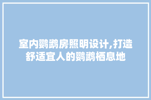 室内鹦鹉房照明设计,打造舒适宜人的鹦鹉栖息地