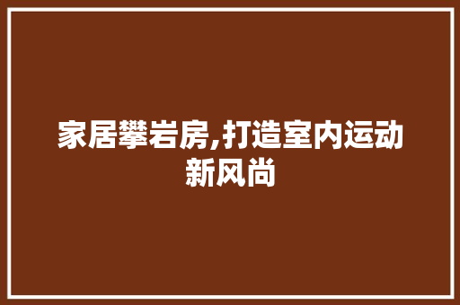 家居攀岩房,打造室内运动新风尚