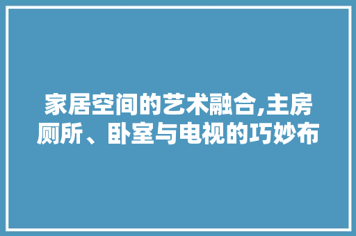 家居空间的艺术融合,主房厕所、卧室与电视的巧妙布局