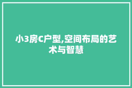 小3房C户型,空间布局的艺术与智慧