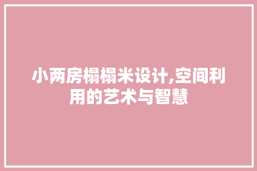 小两房榻榻米设计,空间利用的艺术与智慧