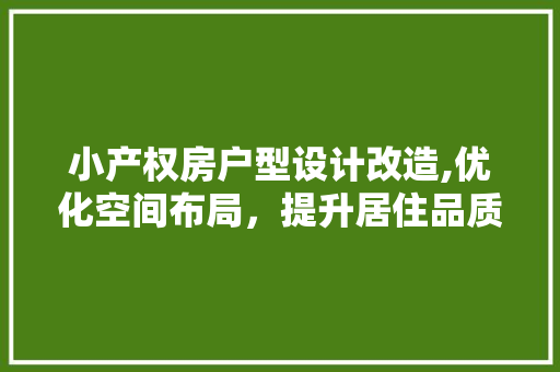 小产权房户型设计改造,优化空间布局，提升居住品质