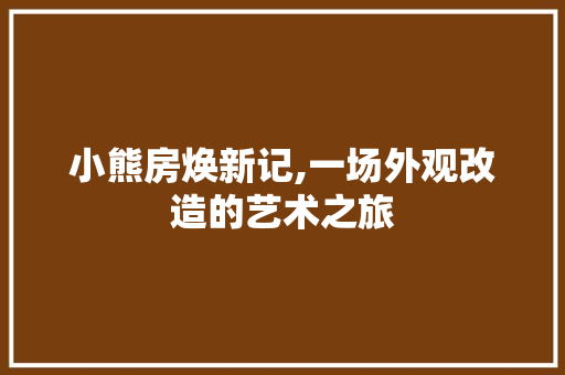 小熊房焕新记,一场外观改造的艺术之旅