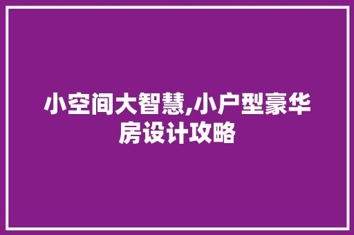小空间大智慧,小户型豪华房设计攻略