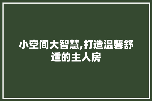 小空间大智慧,打造温馨舒适的主人房
