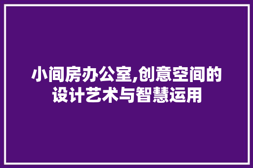 小间房办公室,创意空间的设计艺术与智慧运用