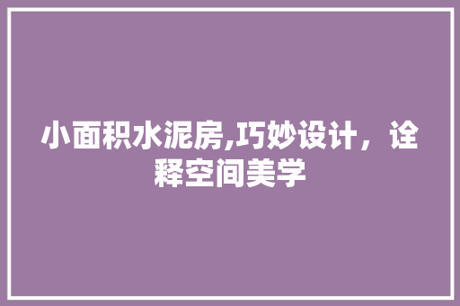 小面积水泥房,巧妙设计，诠释空间美学