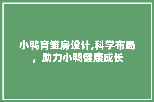 小鸭育雏房设计,科学布局，助力小鸭健康成长
