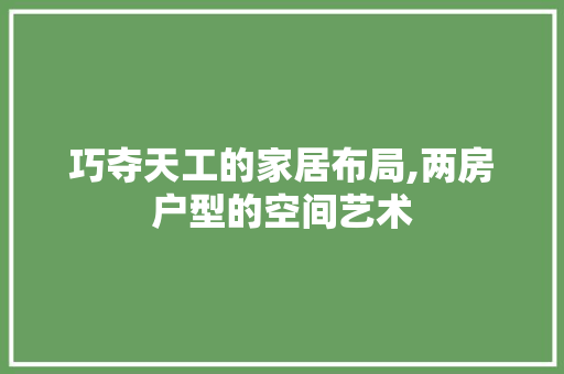 巧夺天工的家居布局,两房户型的空间艺术