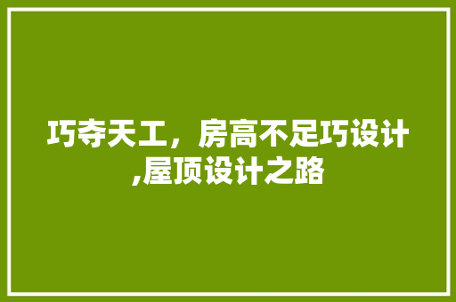 巧夺天工，房高不足巧设计,屋顶设计之路