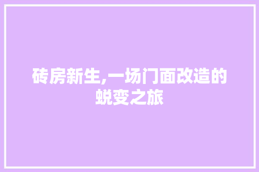 砖房新生,一场门面改造的蜕变之旅