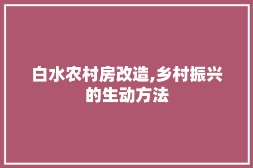 白水农村房改造,乡村振兴的生动方法