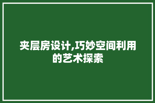 夹层房设计,巧妙空间利用的艺术探索